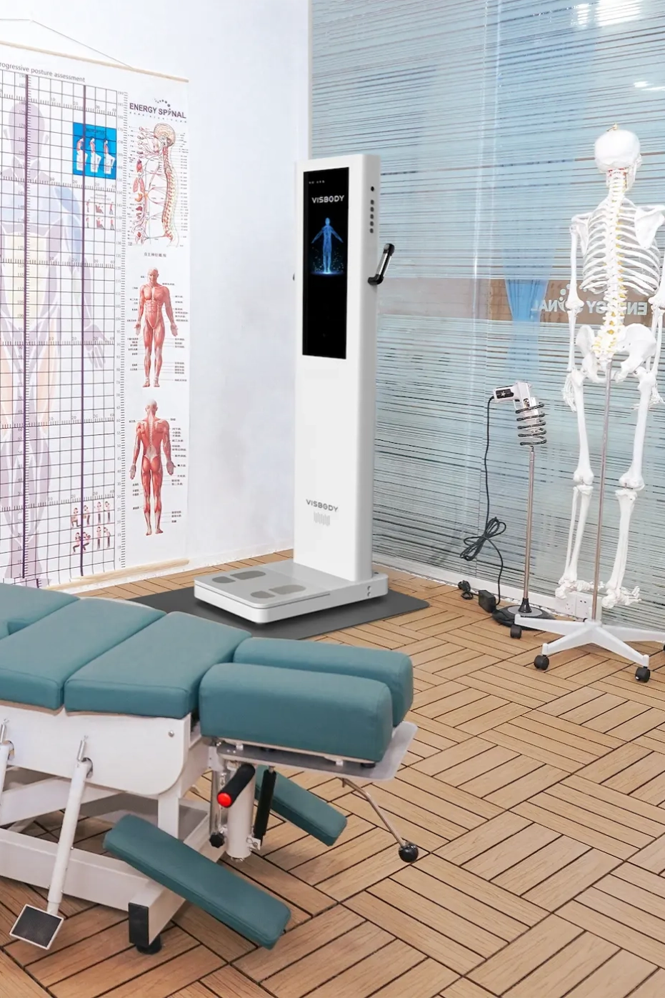 Physiotherapy & Rehabilitation