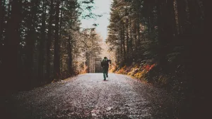 The Complete Runner's Guide Avoiding Treadmill-Induced Spine and Joint Injuries